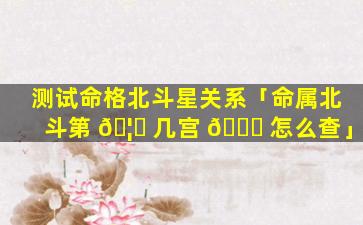 测试命格北斗星关系「命属北斗第 🦅 几宫 🐋 怎么查」